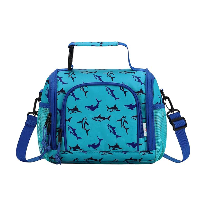 Cute Reusable Insulated Large Lunch Bag